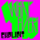 Picture for song 'Whatever (Prod. By No I.D. )' by artist 'Explicit (Artist)'