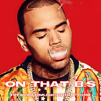 Picture for song 'On That B.S. (Chris Brown Type Beat)' by artist 'HITWORLD MUSIC GROUP'