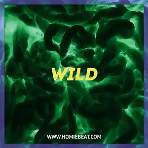 Picture for song 'Wild' by artist 'Homiebeat'