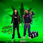 Picture for song 'Gold Mind Pro 1 FL9mp3' by artist 'HooknBeats Producers'