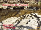 Picture for song 'Minstrel On The Vineyard' by artist 'KENNETH JANEWAY - MUSIC'
