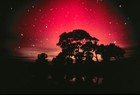 Picture for song 'Nocturnal Sky (Instrumental) ***PURCHASE TODAY!' by artist 'L1VE BEATS'