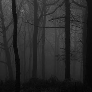 Picture for song 'INTO THE MIST "free download"' by artist 'Le Black James on the Track'