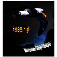 Picture for song 'Senses High' by artist 'M3 Group'