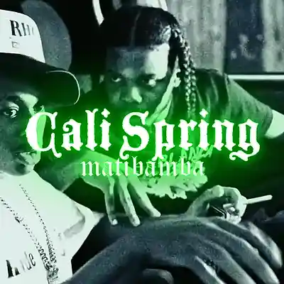 Picture for song 'Cali Spring - Dancehall Type Beat' by artist 'matibamba'