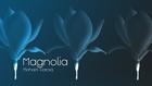 Picture for song 'Magnolia' by artist 'Michael Garcia'