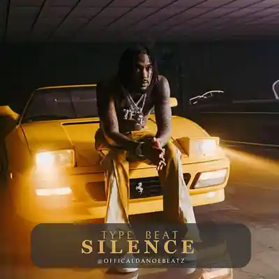 Picture for song 'SILENCE - Trap Beat' by artist 'OfficialDanoeBeatz'