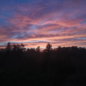 Picture for song 'Mac Miller' by artist 'Phycodelics'