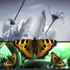 Picture for song 'Unison Of Mind & Soul' by artist 'Poetic Flow (Bthugg)'