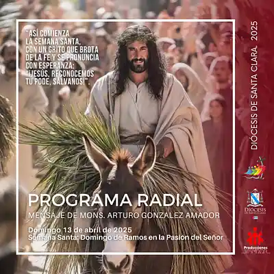 Picture for song 'Domingo de Ramos, 13 de abril' by artist 'Producciones Vandor'