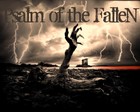 Picture for song '4th Reich (Ruff Mix)' by artist 'PSALM OF THE FALLEN'