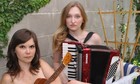 Picture for song 'Birth Control Song' by artist 'Reformed Whores'