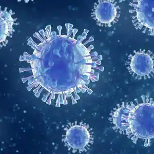 Picture for song 'CORONAVIRUS BLUES 2' by artist 'Rick Lemay'