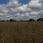 Picture for song 'The Meseta' by artist 'Robert Sword'