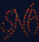 Picture for song 'Bleeding Out' by artist 'Seek No Acceptance'