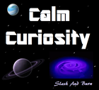 Picture for song '04 Calm Curiosity' by artist 'Slash And Burn'
