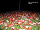Picture for song 'Fallen Leaves' by artist 'The End Arounds'