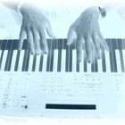 Picture for song 'Sea Life' by artist 'The Flanger Sound'