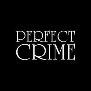 Picture for song 'The Perfect Crime' by artist 'Thomas von Zig'