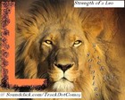 Song picture