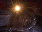 Picture for song 'ron isley samoleeee.mp3' by artist 'TURA INSTRUMENTALS'