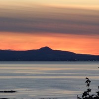 Picture for song 'Sad Evolution' by artist 'Viking Blues'