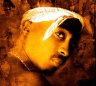 Picture for song 'Thugs Get Lonely 2 W/Hook 2009' by artist 'Vizion Productionz'