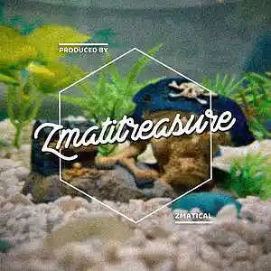 Picture for song 'Zmatitreasure' by artist 'Zmatical'