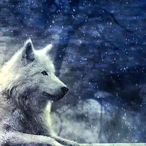 Picture for song 'Into The Moonlight' by artist '2uo8eats'