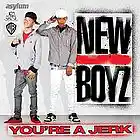 Picture for song '(New Boyz WOULD RIP THIS ) - If U So Cool' by artist 'Dee Rice TV'