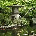 Picture for song 'Double Dream Rockstar' by artist 'DHW'