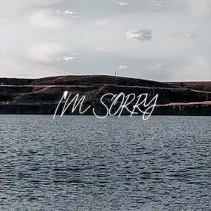Picture for song 'I'm Sorry' by artist 'Kane Town Beats'