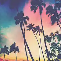 Picture for song 'Palm Trees l KCTheNewProMusic.com' by artist 'KCTheNewPro'