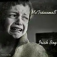 Picture for song 'Irish Boy' by artist 'MeTronomoS'
