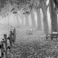 Picture for song 'I Still Love You' by artist 'Paul Winter (Song Writer)'