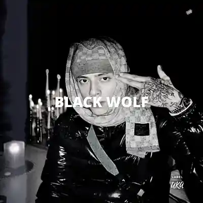 Picture for song 'Black Wolf (Buy 1 Get 10 Free)' by artist 'Kontraa'