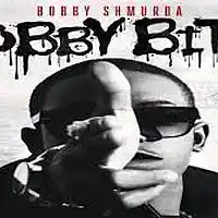 Picture for song 'BOBBY SHMURDA x LIL WAYNE TYPE BEAT NEVER CHANGE' by artist 'Quilly Beats'