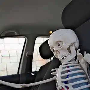 Picture for song 'Working title - DRIVE THRU - instrumental 2019' by artist 'SCARECROW SKER'