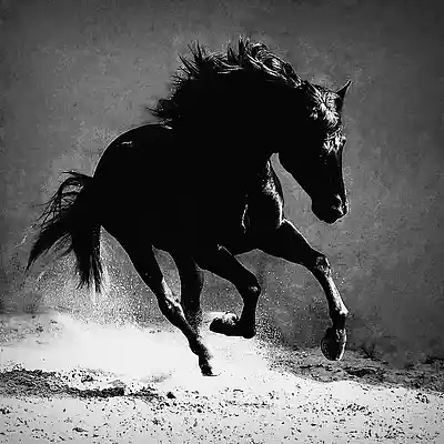 Picture for song 'Forever again' by artist 'Soren Cornix'