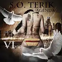 Picture for song 'Jewelry' by artist 'S.O. Terik'