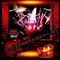 Picture for song 'SHINE!' by artist 'S.W.A.D.E. (THE ONE AND ONLY)'