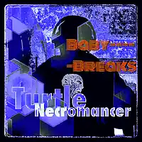Picture for song 'Baby Breaks' by artist 'Turtle Necromancer'