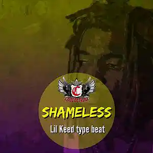 Picture for song 'Shameless (Lil Keed type beat)' by artist 'Chorderline'
