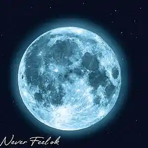 Picture for song 'Never Feel Ok (Emo Rap Beat)' by artist 'Cold Spxt'
