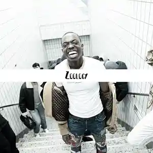 Picture for song 'Zoology (Bobby Shmurda Type) - Devezin.com' by artist 'Devezin'