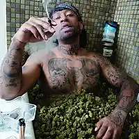 Picture for song 'InMyYoungerDayz' by artist 'Dj Katfish'