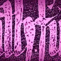 Picture for song 'EN REALIDAD reggaeton beat 89bpm 2-28-17 tagged' by artist 'FINEST REGGAETON BEATS'