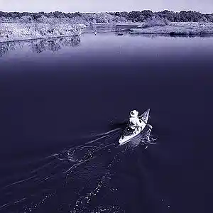 Picture for song 'Hopelessly Blue' by artist 'Tom Bower'