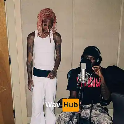 Picture for song 'The Come Down (Nine Vicious x Lucki Sample Type Be' by artist 'Wav Hub'