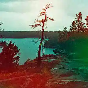 Picture for song '"Feather" Beat for Sale' by artist 'whoDeanyBeatz'